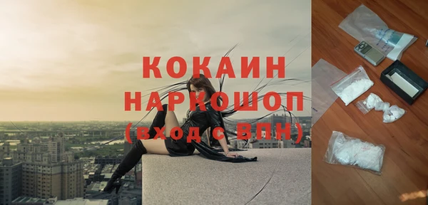 мдпв Каменногорск