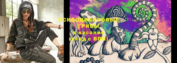 дурь Каменка