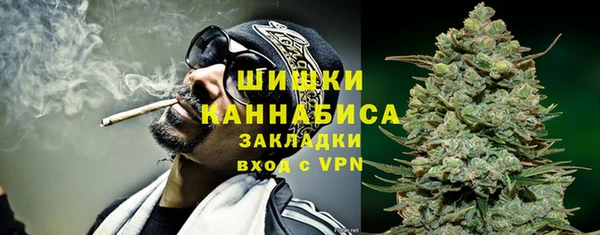 мдпв Каменногорск
