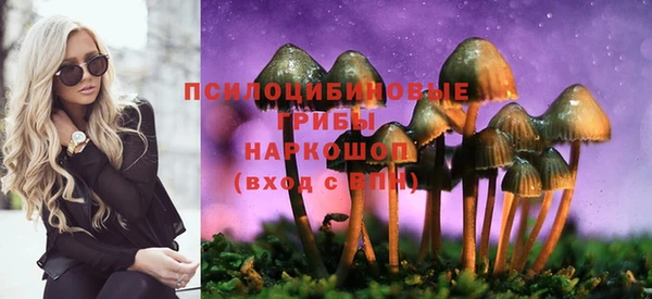 мдпв Каменногорск
