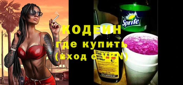 дурь Каменка