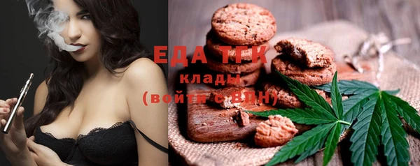 мдпв Каменногорск