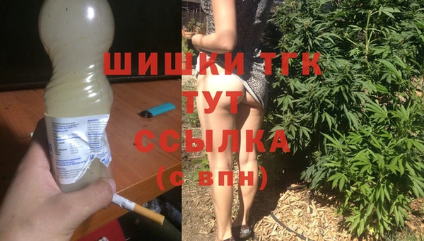 мдпв Каменногорск