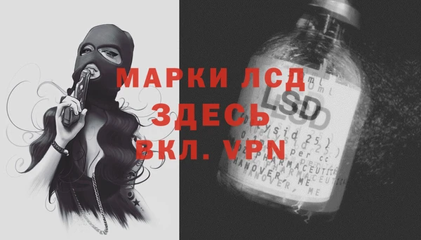 дурь Каменка