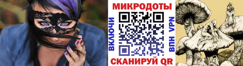 Галлюциногенные грибы Psilocybine cubensis  Купить закладки  Гулькевичи 